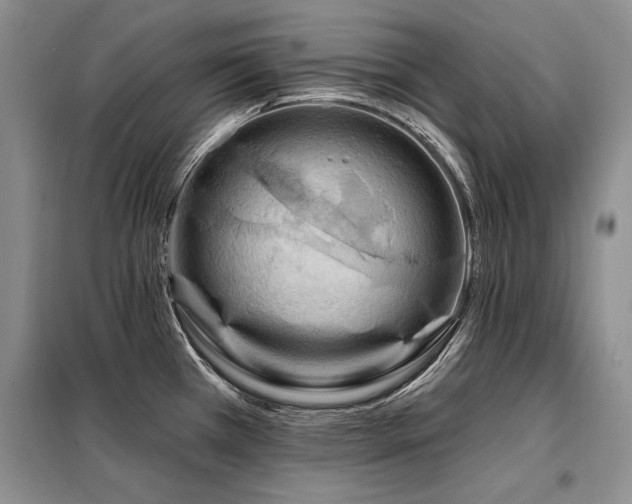 X0000098131385200804171510