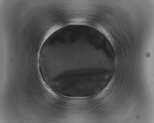 X0000098131386200804171510