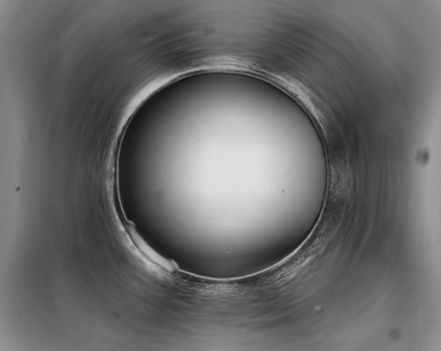 X0000098131387200804171510