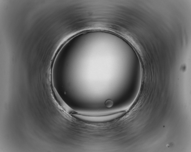X0000098131388200804171510