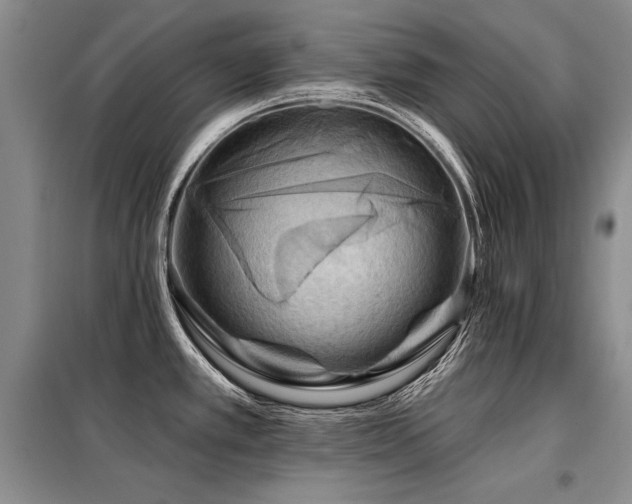 X0000098131389200804171510