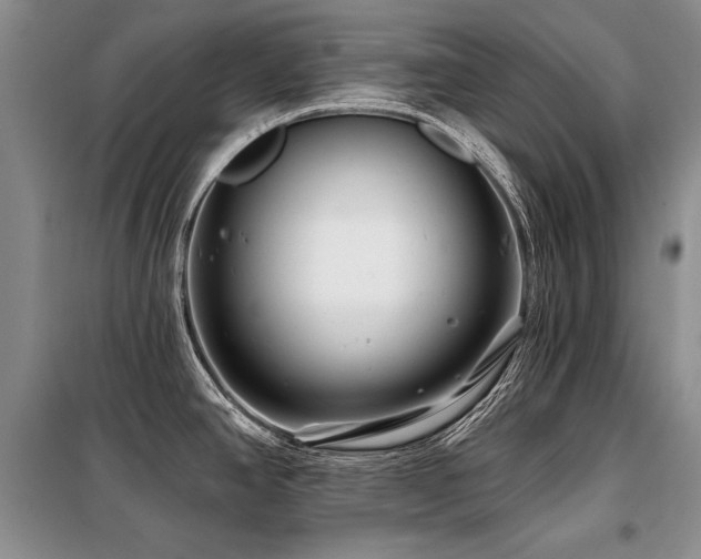 X0000098131390200804171510