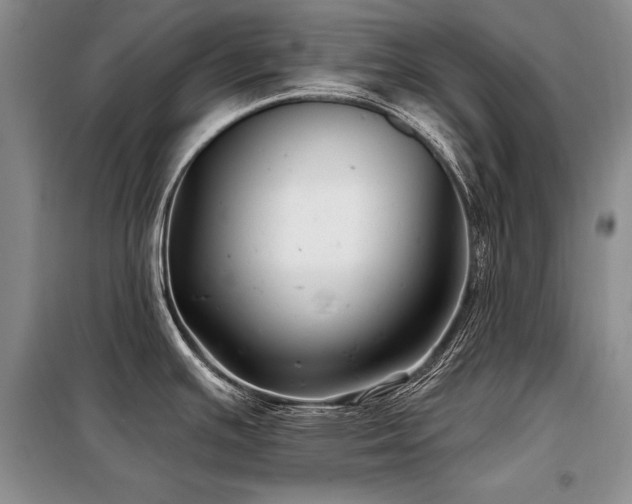 X0000098131391200804171510