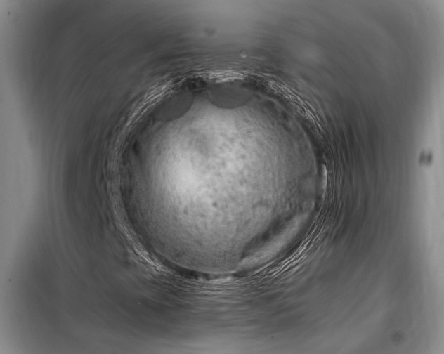 X0000098131393200804171509