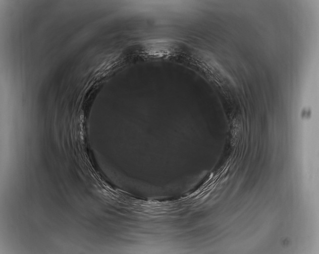 X0000098131394200804171509