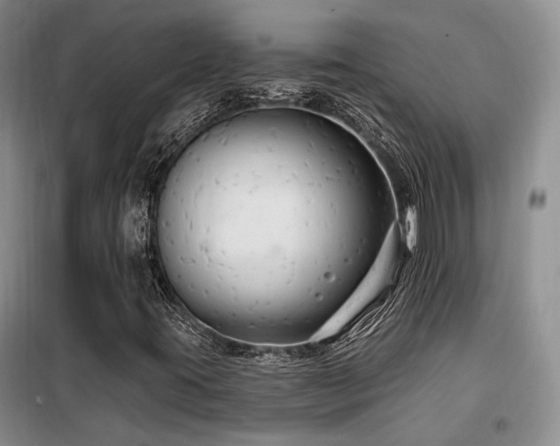 X0000098131395200804171509