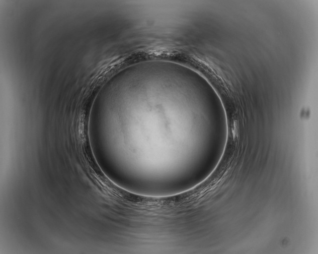 X0000098131396200804171509