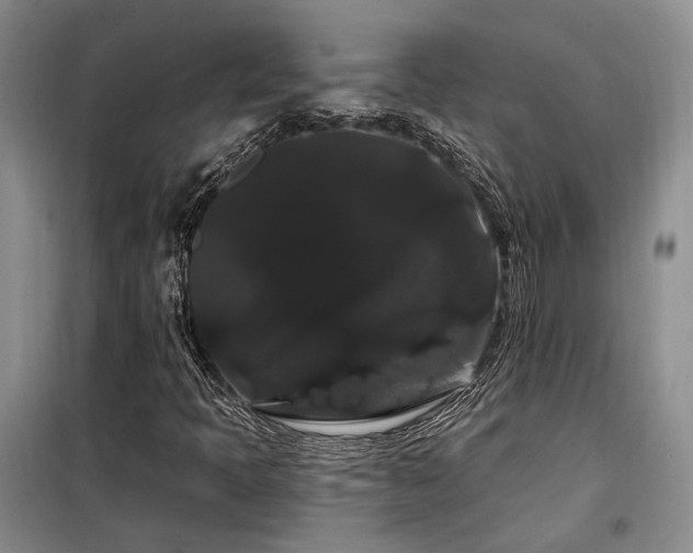 X0000098131397200804171509
