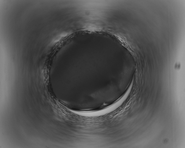 X0000098131398200804171509