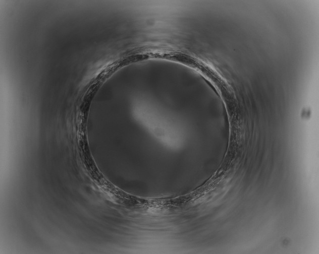 X0000098131399200804171509
