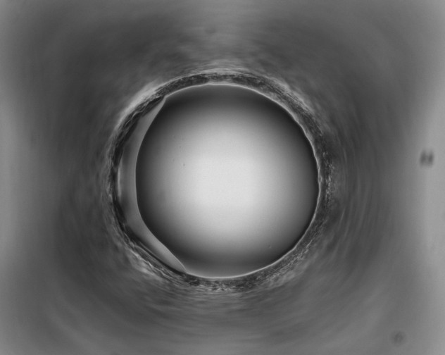 X0000098131400200804171509