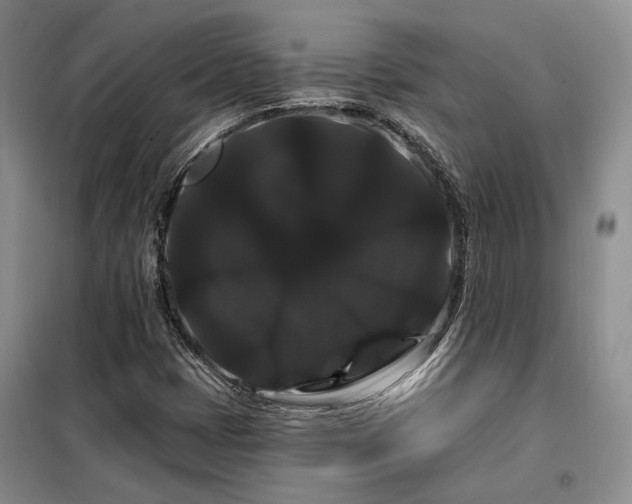 X0000098131401200804171509