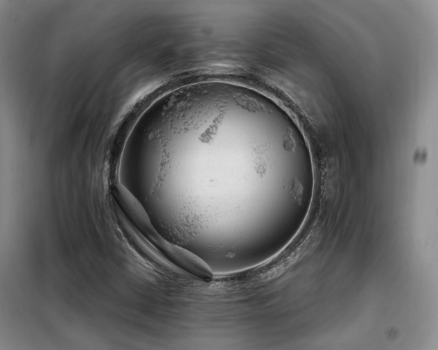 X0000098131402200804171509