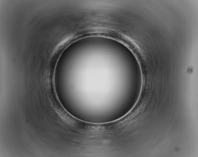X0000098131403200804171509