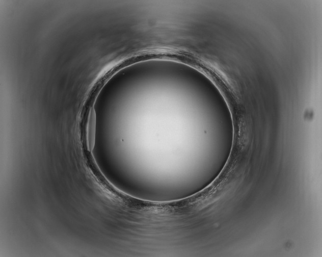 X0000098131404200804171509