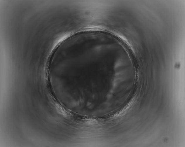 X0000098131405200804171509