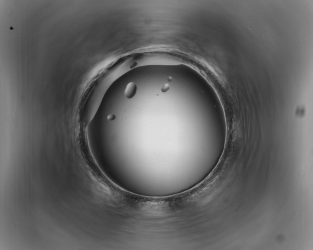 X0000098131406200804171509