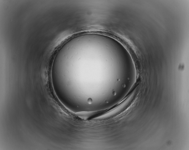 X0000098131407200804171509
