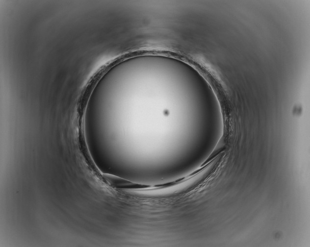 X0000098131408200804171509