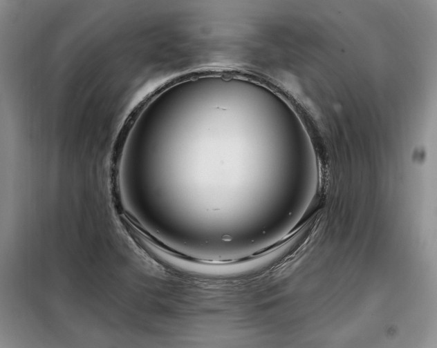 X0000098131412200804171509