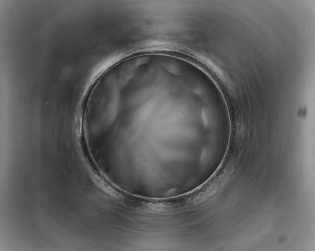 X0000098131413200804171509