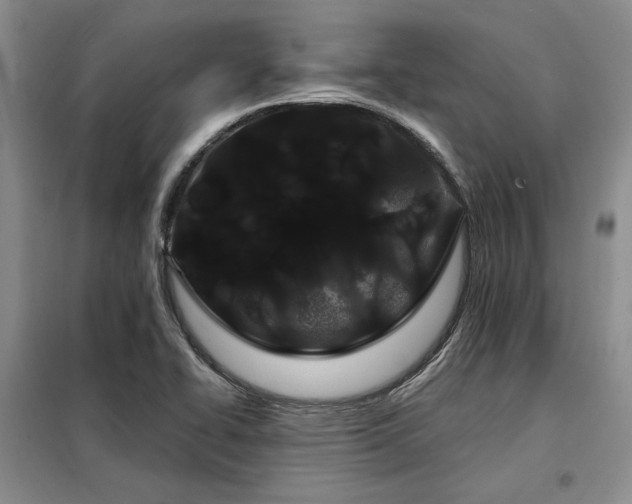 X0000098131414200804171509