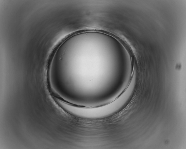 X0000098131416200804171510