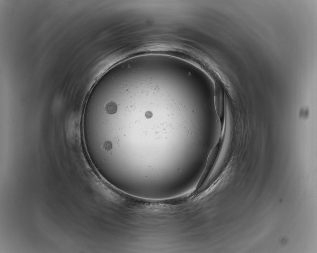 X0000098131417200804171510