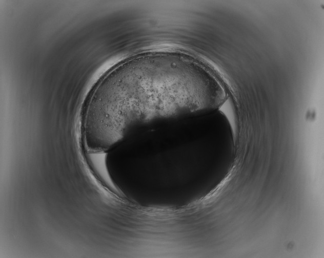 X0000098131418200804171510