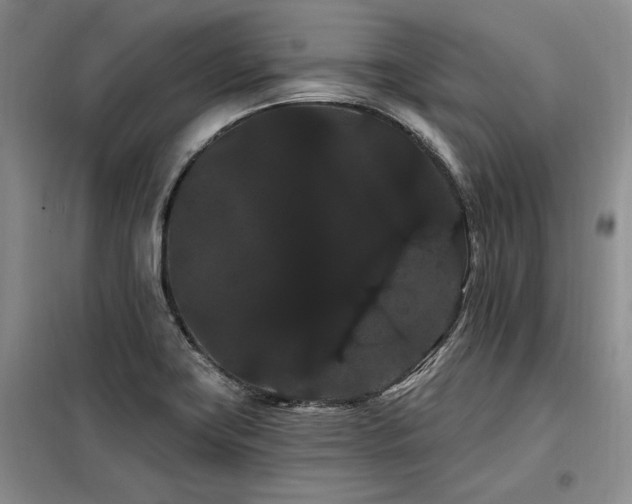 X0000098131419200804171510