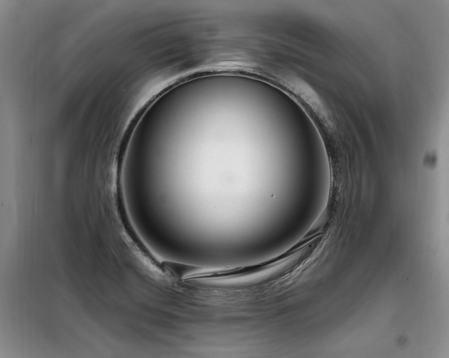 X0000098131420200804171510