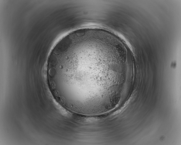 X0000098131421200804171510