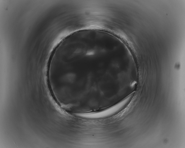 X0000098131422200804171510