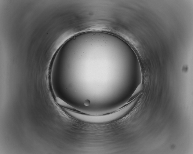 X0000098131423200804171510
