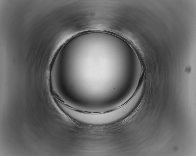 X0000098131424200804171510