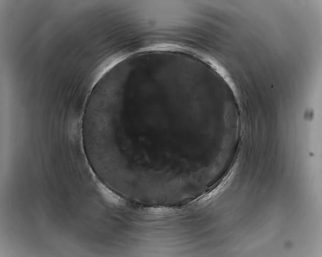 X0000098131425200804171510