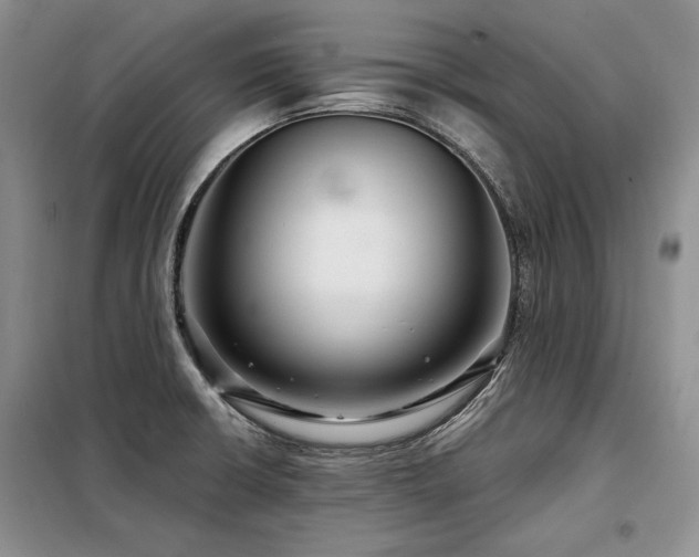 X0000098131426200804171510