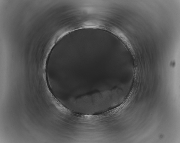 X0000098131427200804171510