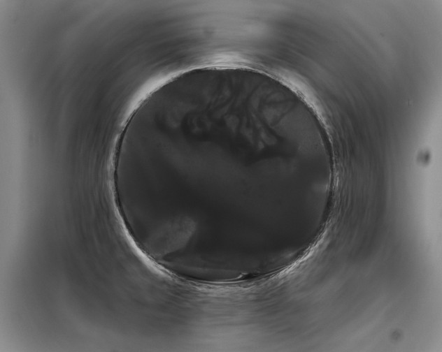 X0000098131429200804171510