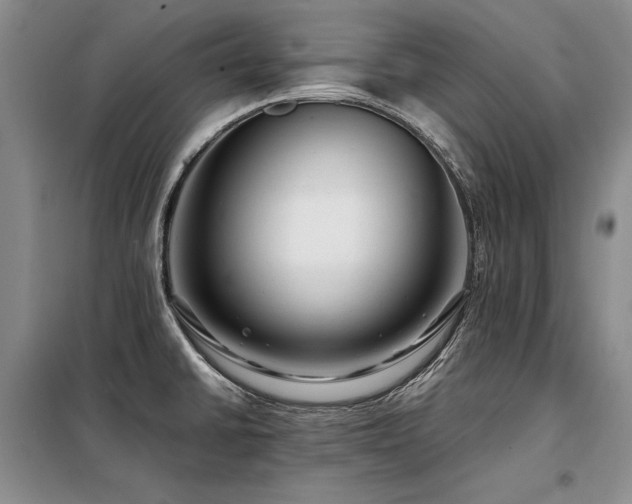 X0000098131430200804171510