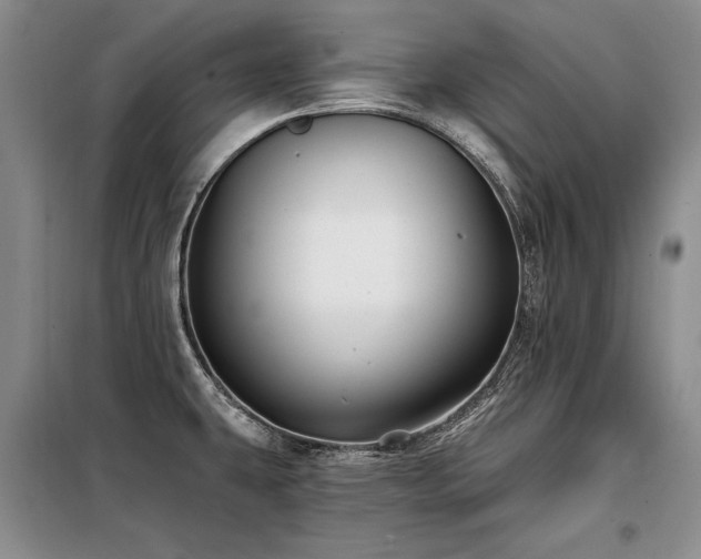 X0000098131431200804171510