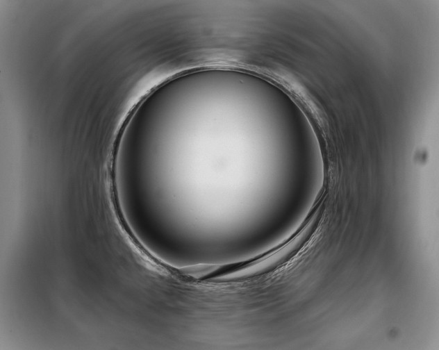 X0000098131432200804171510