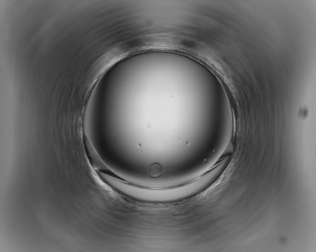 X0000098131433200804171510