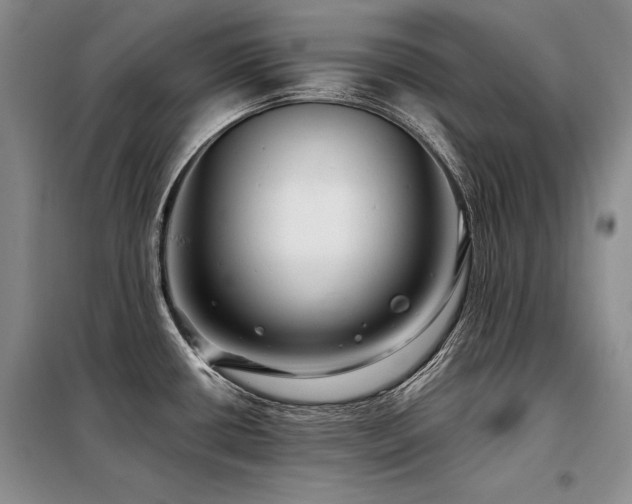 X0000098131434200804171510