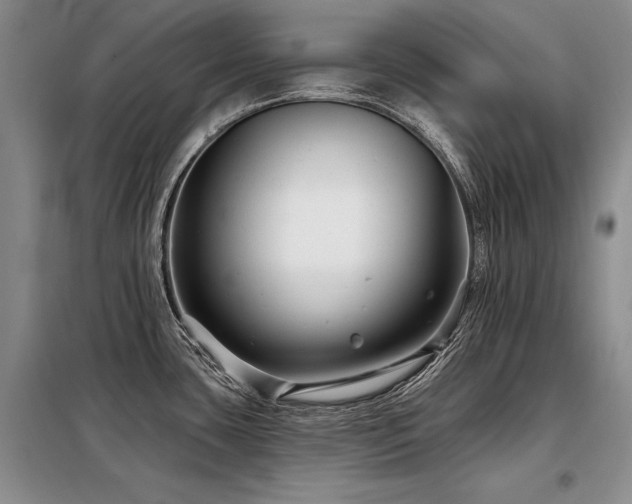X0000098131435200804171510