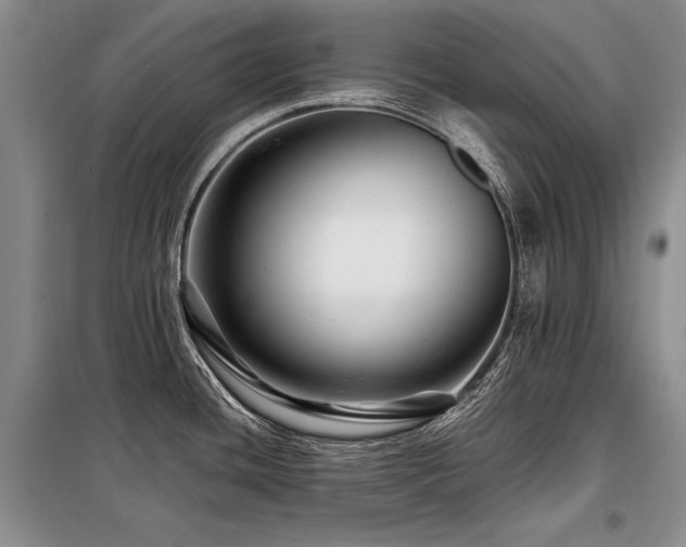 X0000098131436200804171510