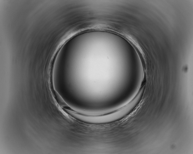 X0000098131437200804171510