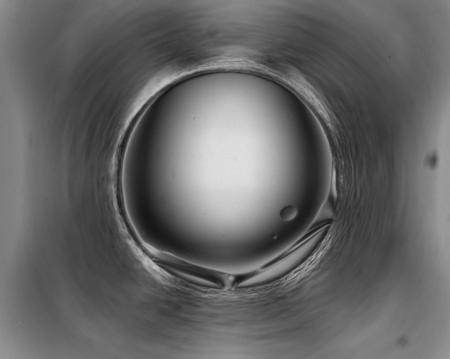 X0000098131438200804171510
