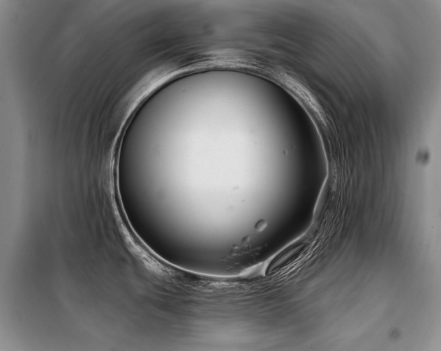 X0000098131439200804171510