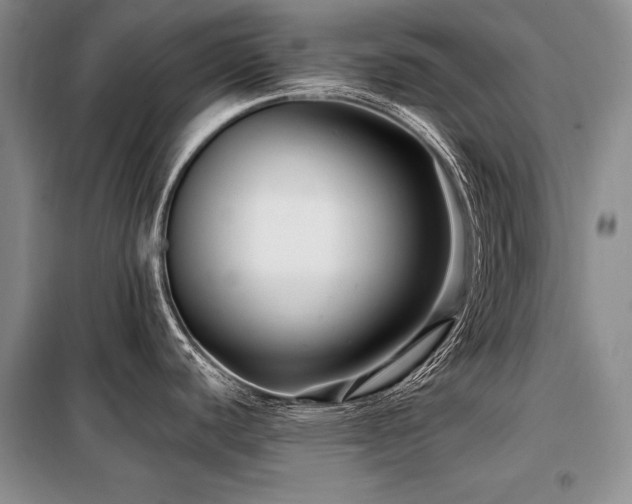 X0000098131440200804171510